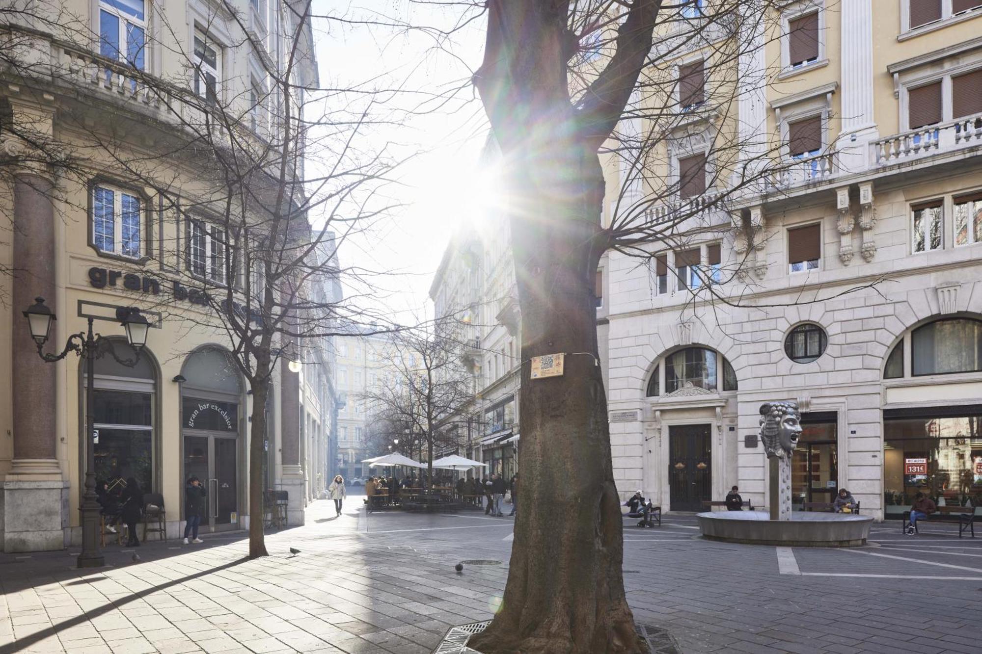 Triestinn - Viale Suite Exteriör bild